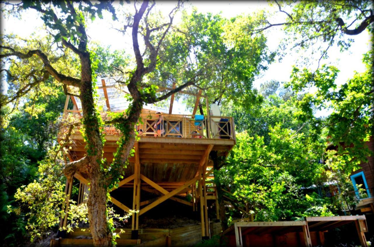 Village Nature Et Ocean A Cote De La Plage Avec Piscine Et Jacuzzi 메상주 외부 사진