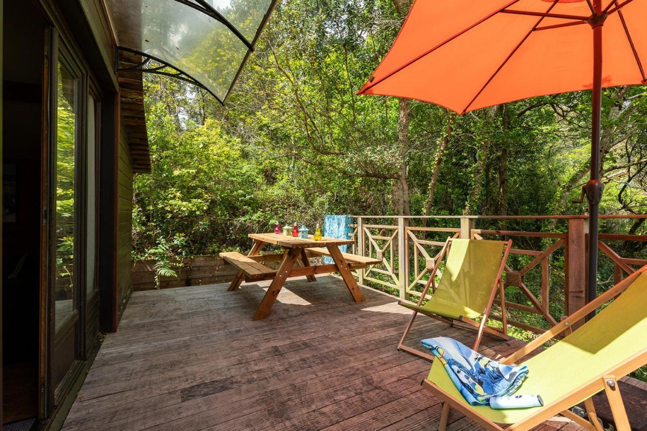 Village Nature Et Ocean A Cote De La Plage Avec Piscine Et Jacuzzi 메상주 외부 사진